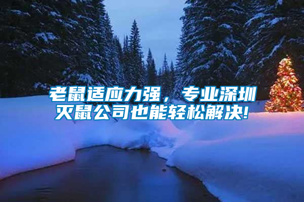 老鼠適應(yīng)力強，專業(yè)深圳滅鼠公司也能輕松解決!