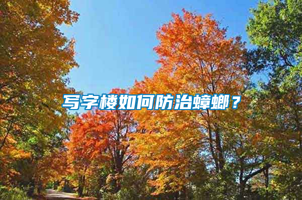 寫字樓如何防治蟑螂？