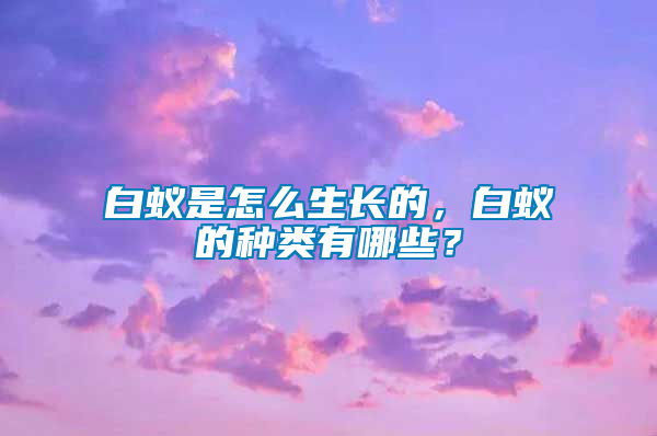 白蟻是怎么生長的，白蟻的種類有哪些？