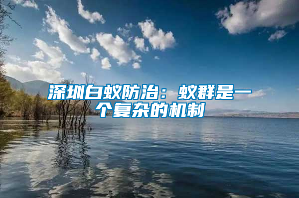 深圳白蟻防治：蟻群是一個復(fù)雜的機制