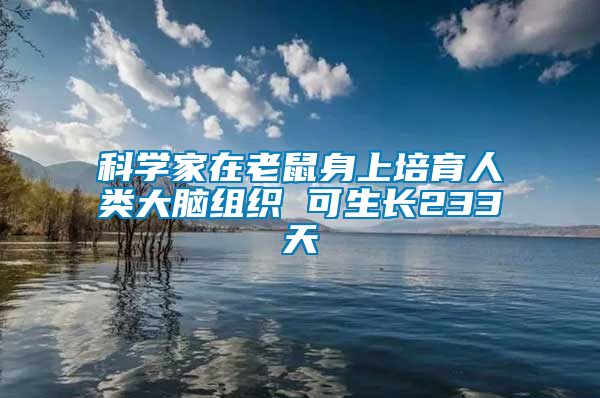 科學(xué)家在老鼠身上培育人類大腦組織 可生長233天