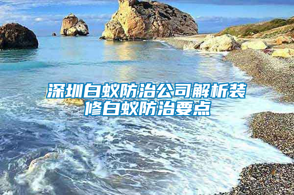 深圳白蟻防治公司解析裝修白蟻防治要點