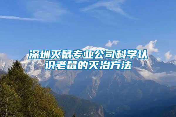 深圳滅鼠專業(yè)公司科學(xué)認(rèn)識老鼠的滅治方法