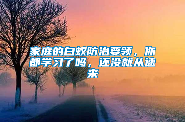 家庭的白蟻防治要領(lǐng)，你都學(xué)習(xí)了嗎，還沒就從速來