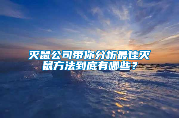 滅鼠公司帶你分析最佳滅鼠方法到底有哪些？