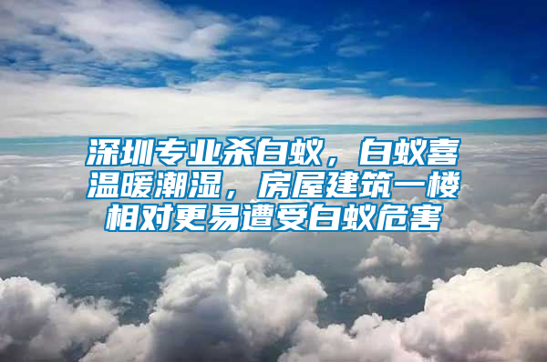 深圳專業(yè)殺白蟻，白蟻喜溫暖潮濕，房屋建筑一樓相對更易遭受白蟻危害