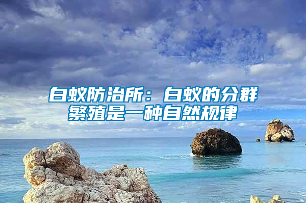 白蟻防治所：白蟻的分群繁殖是一種自然規(guī)律