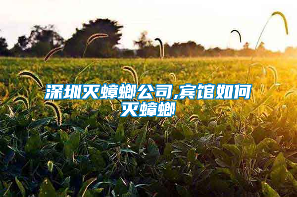 深圳滅蟑螂公司,賓館如何滅蟑螂