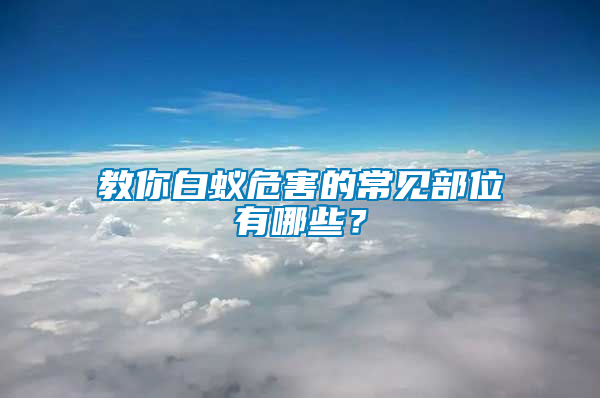 教你白蟻危害的常見部位有哪些？