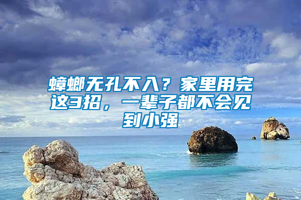 蟑螂無孔不入？家里用完這3招，一輩子都不會見到小強(qiáng)