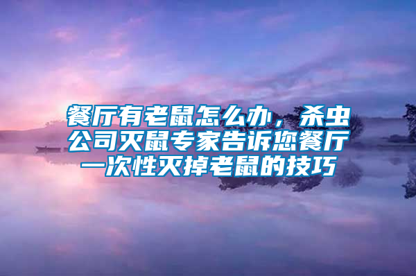 餐廳有老鼠怎么辦，殺蟲公司滅鼠專家告訴您餐廳一次性滅掉老鼠的技巧