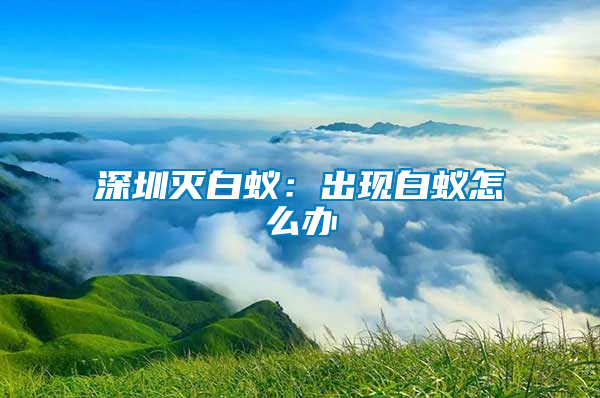 深圳滅白蟻：出現(xiàn)白蟻怎么辦