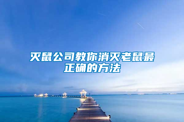 滅鼠公司教你消滅老鼠最正確的方法