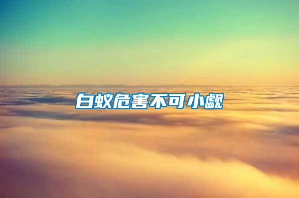 白蟻危害不可小覷