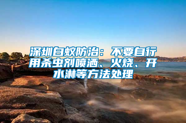 深圳白蟻防治：不要自行用殺蟲劑噴灑、火燒、開水淋等方法處理