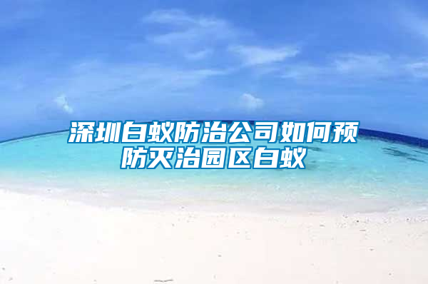 深圳白蟻防治公司如何預(yù)防滅治園區(qū)白蟻