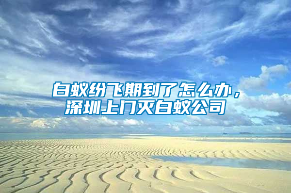 白蟻紛飛期到了怎么辦，深圳上門滅白蟻公司