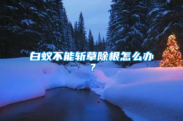 白蟻不能斬草除根怎么辦？