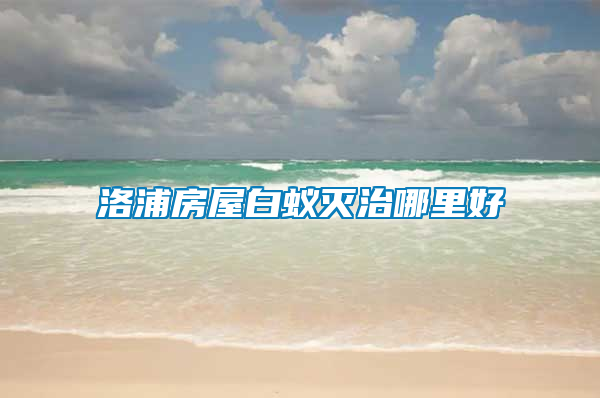 洛浦房屋白蟻滅治哪里好