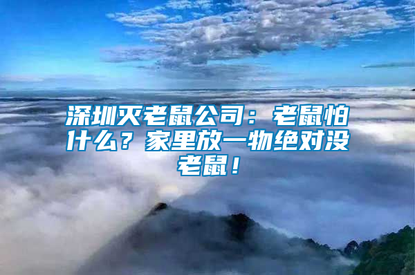 深圳滅老鼠公司：老鼠怕什么？家里放一物絕對沒老鼠！