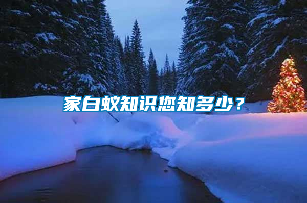 家白蟻知識(shí)您知多少？