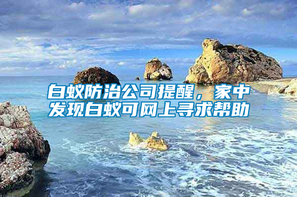 白蟻防治公司提醒，家中發(fā)現白蟻可網上尋求幫助