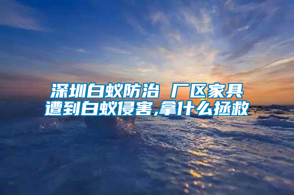 深圳白蟻防治 廠區(qū)家具遭到白蟻侵害,拿什么拯救