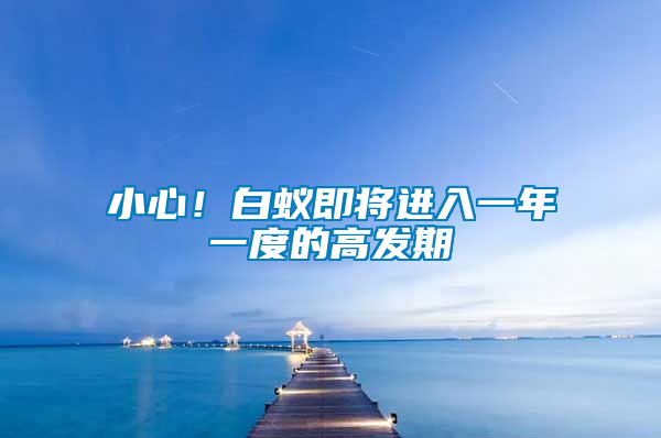 小心！白蟻即將進(jìn)入一年一度的高發(fā)期