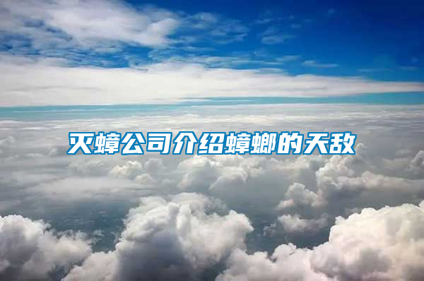 滅蟑公司介紹蟑螂的天敵