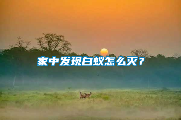 家中發(fā)現(xiàn)白蟻怎么滅？