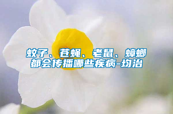 蚊子、蒼蠅、老鼠、蟑螂都會(huì)傳播哪些疾病-均治