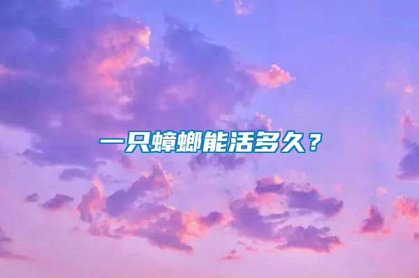 一只蟑螂能活多久？