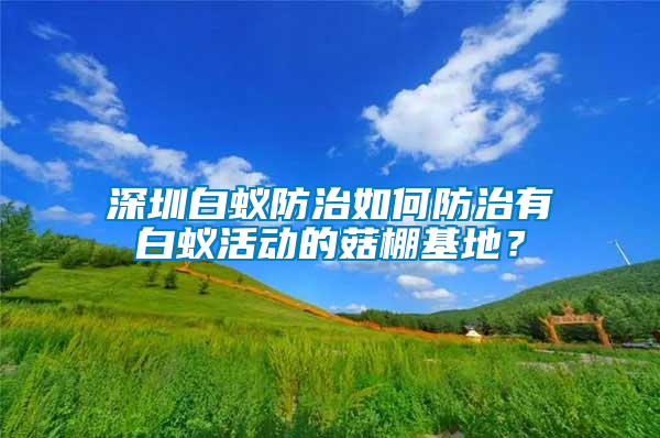 深圳白蟻防治如何防治有白蟻活動(dòng)的菇棚基地？