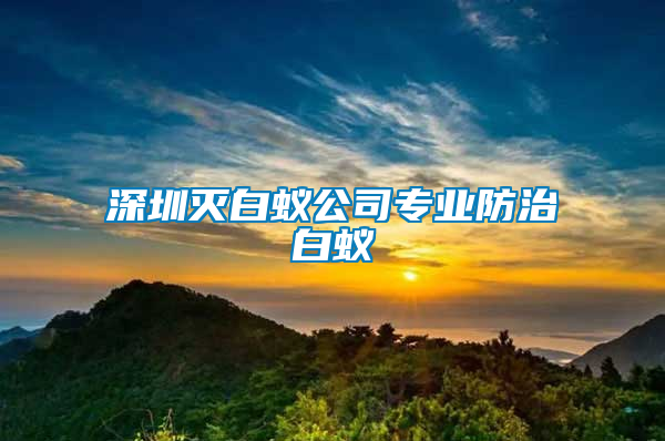 深圳滅白蟻公司專業(yè)防治白蟻