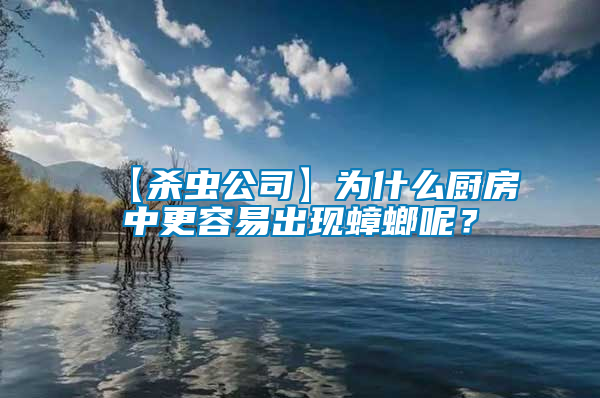 【殺蟲(chóng)公司】為什么廚房中更容易出現(xiàn)蟑螂呢？