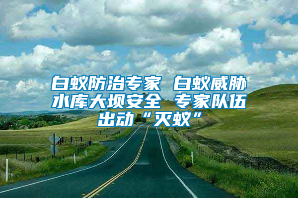 白蟻防治專家 白蟻威脅水庫大壩安全 專家隊伍出動“滅蟻”